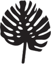 plantshopmanchester.com