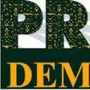 premierdemolition.com