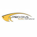 prodivemex.com