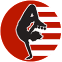 proskatersplace.com