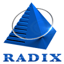 radixweb.com