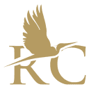 rccollezionismo.it