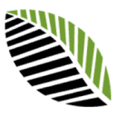 realleaf.de