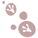 rockstepper.com