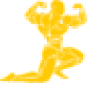 roidschamp.com