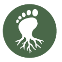root-footwear.com