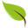 saludviva.es