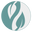 salufast.com
