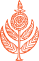 samarkanddesign.com
