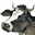 santacruzpaleo.com