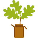 saplingbox.co.uk