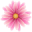 sendflower.com.ua