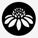 senitaathletics.com