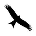 silhouettesclothing.co.uk