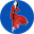 simidress.com