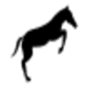 solidhostglobal.com