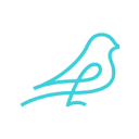 sparrow.com