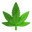 spliff.fr
