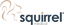 squirrelmedical.com