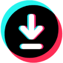 ssstiktok.tv