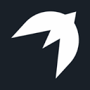 startupfalcon.com