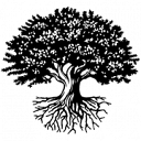 studentclearinghouse.org