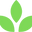 tayyibnaturals.com