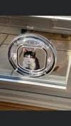 thatcatflapcompany.com