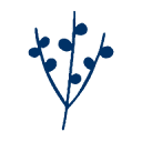 thearcticpure.com