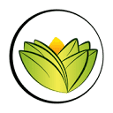 theayurvedaexperience.eu