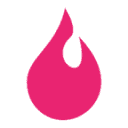 thefireplaceelement.com