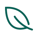 thegreeninsurer.com