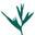 thegreenjunglebeautyshop.com