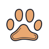 thepetsmarket.co.uk