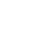 thewildcat.co.uk