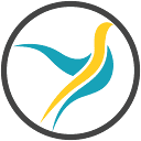 travelbirdcars.co.uk