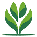 treebd.com