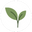 trynuvani.com