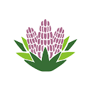 tryyucca.com
