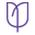 tulipy.co.uk