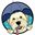 undertheweatherpet.com