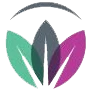 vidaphone.com