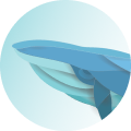 whale.io