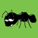 www.ant-supplies.uk