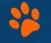 www.beechgrovedoggyfunpark.com