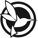 www.blackvue.com