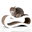 www.cat-on.com