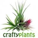 www.craftyplants.co.uk