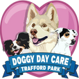 www.dogsanddivas.co.uk