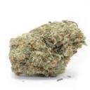 www.dutchbulk.nl